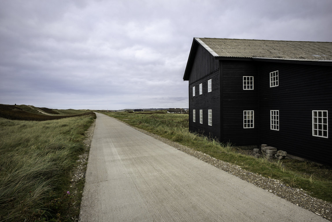 L1007479 (small)